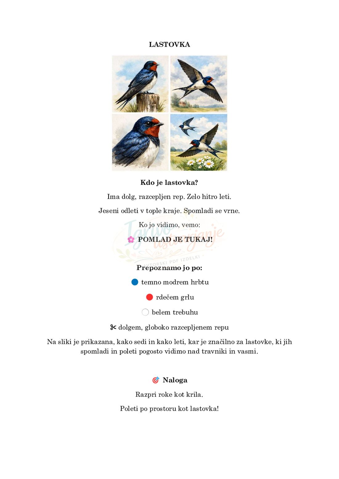 Ko žvrgolijo ptički – Ptice pomladi - slika 2